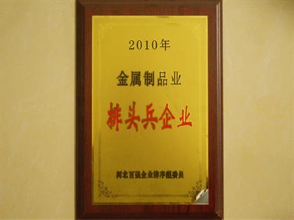 2010排头兵企业