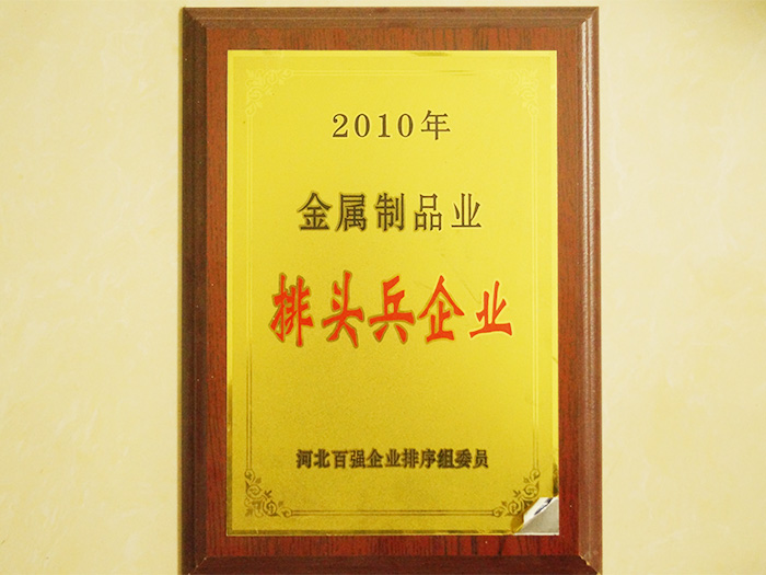 <strong>2010排头兵企业</strong>